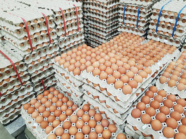 Eggs1