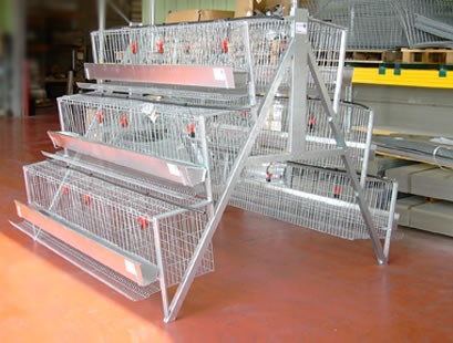 elite 96 bird egg laying cage