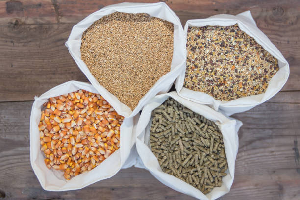 Animal Feeds1