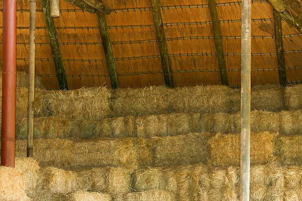 lucerne bales